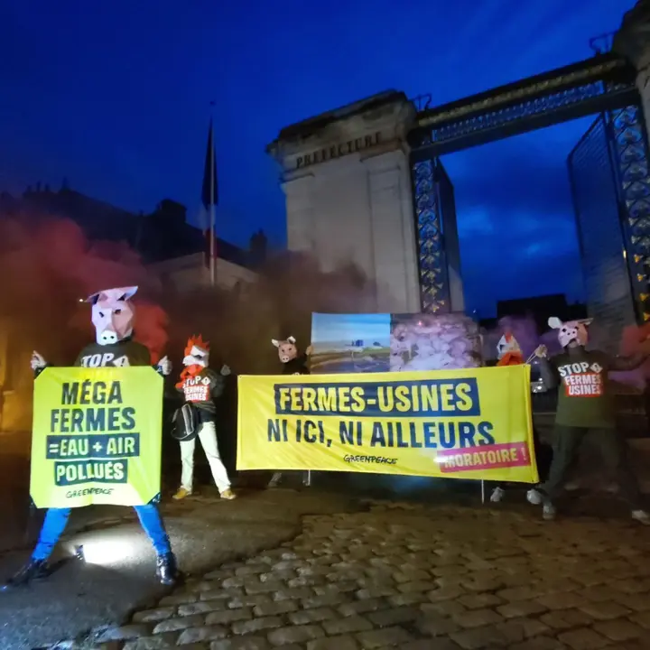 Greenpeace contre les fermes-usines devant la pref.